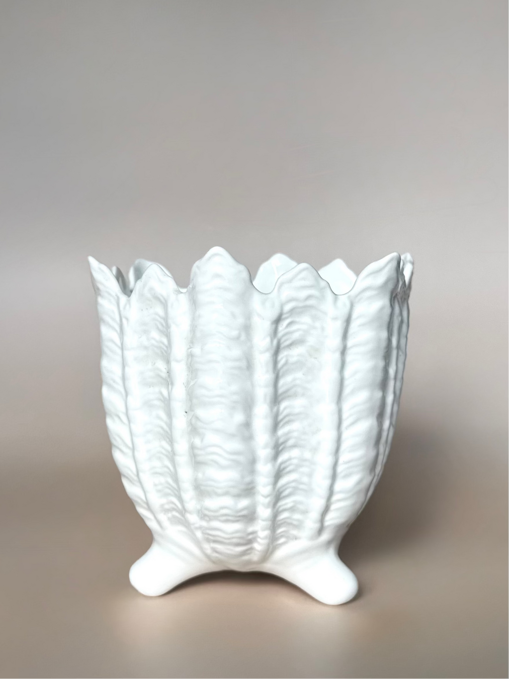 Coalport Ceramic Planter