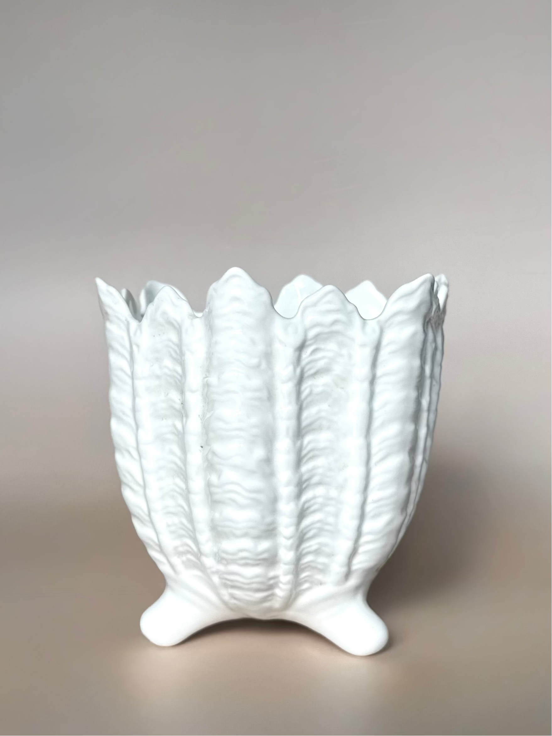 Coalport Ceramic Planter