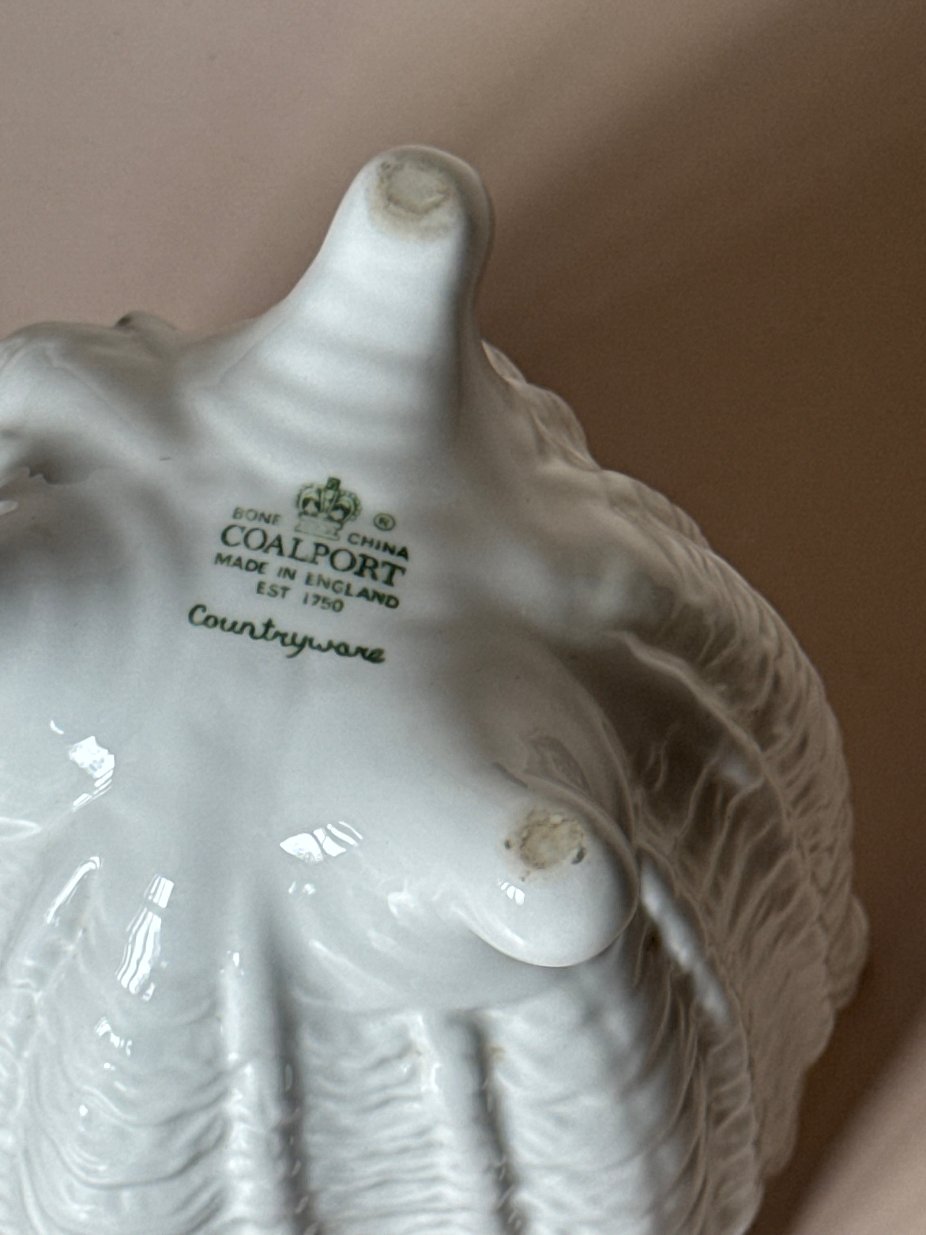 Coalport Ceramic Planter