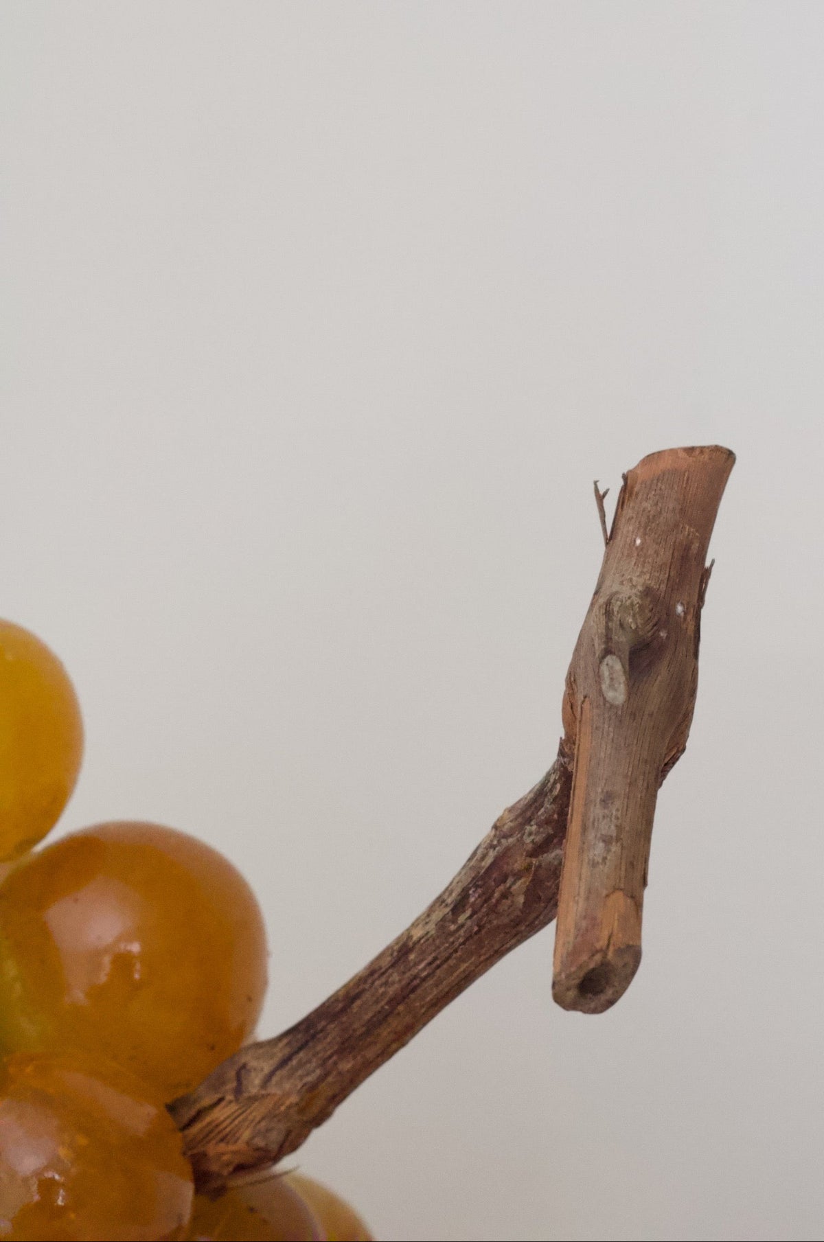 Vintage Italian Stone Grapes